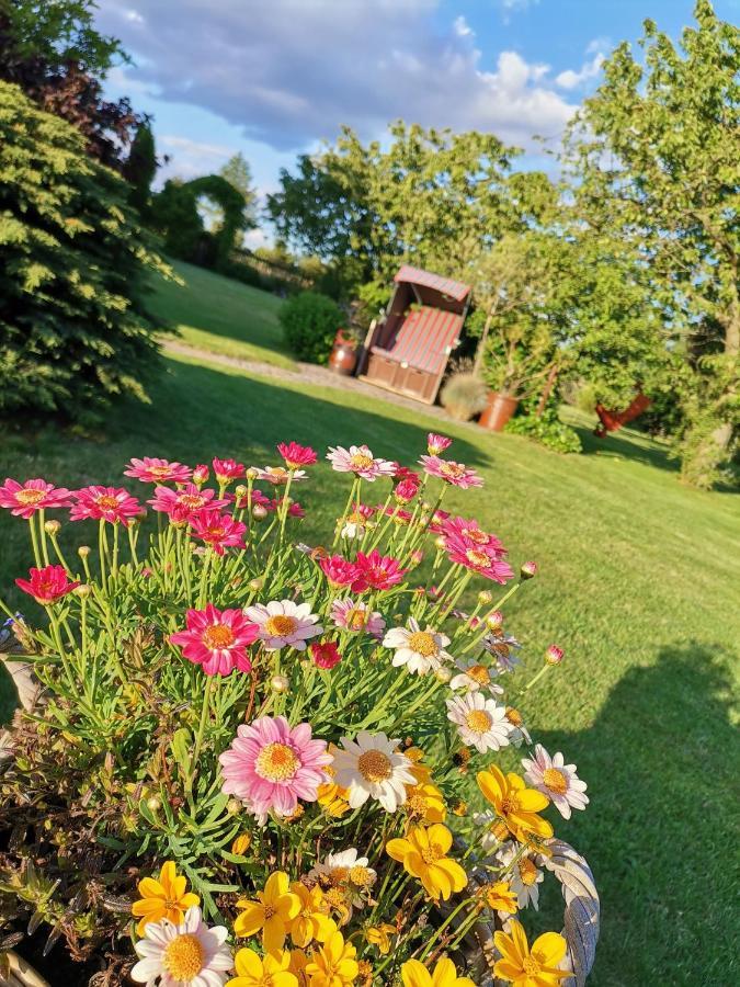 Ferienwohnung Landidyll Saalburg Dış mekan fotoğraf
